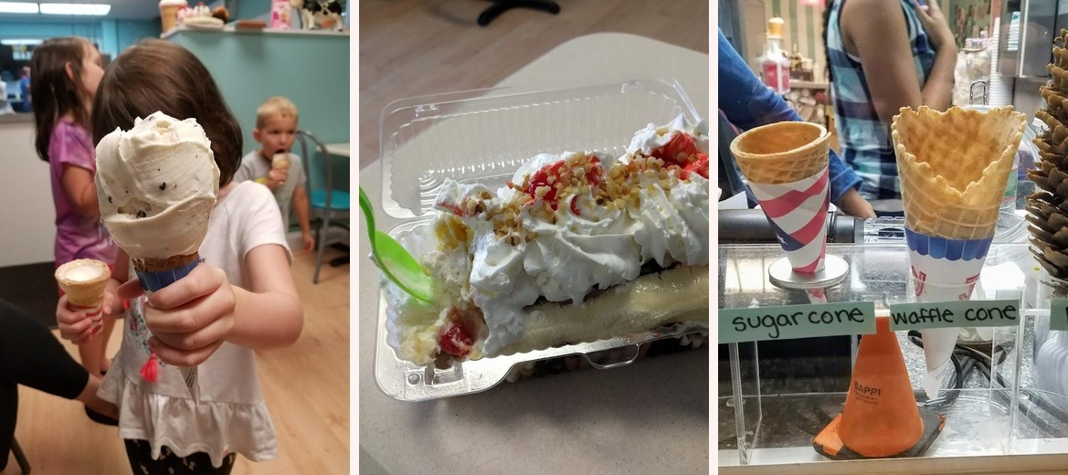 Happy Cow Ice Cream Shop Gallery Image 5