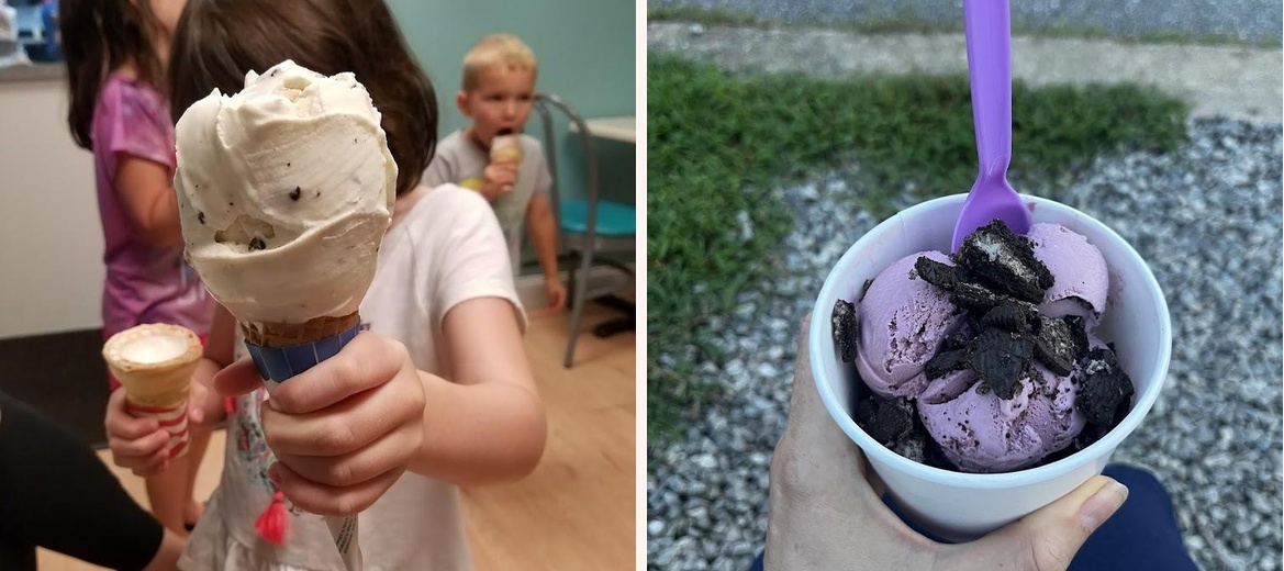 Happy Cow Ice Cream Shop Gallery Image 6